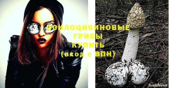 эйфоретик Абинск