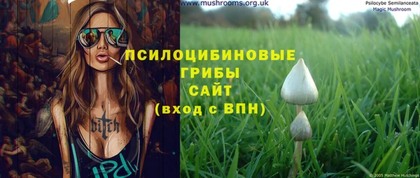 эйфоретик Абинск