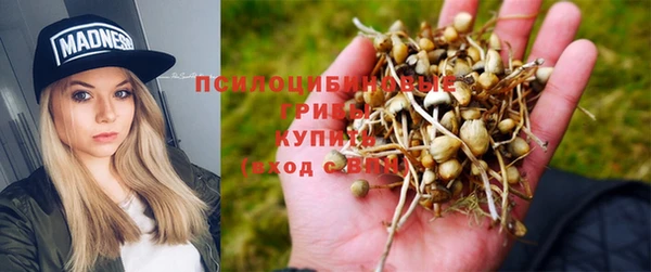 MESCALINE Абаза